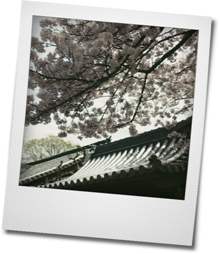d0155744_15330500.png