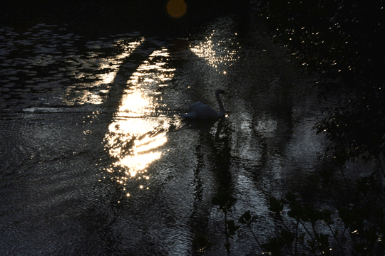 c0093046_8314928.gif