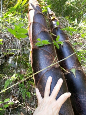 c0330749_16451355.jpg