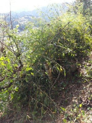 c0330749_16463946.jpg