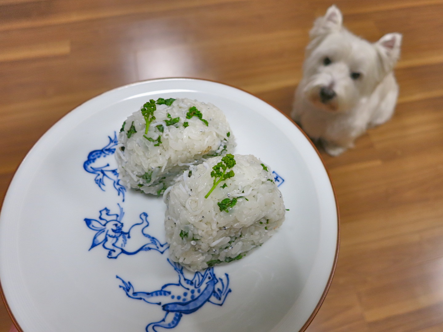 春をにぎろう!_c0260460_18091141.jpg