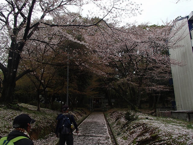 ナガスポＷ下見（４月２５日実施分山陰道）_b0044663_846149.jpg