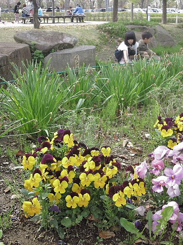 カタカナ語は日本語である。_b0141773_23494222.jpg