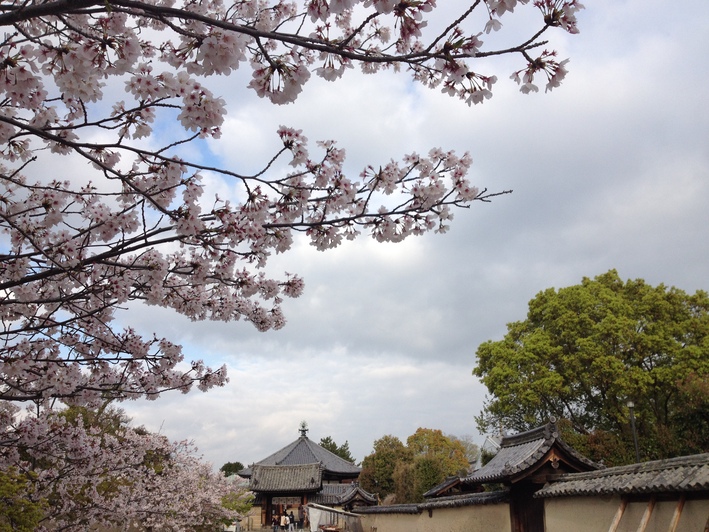 あゆたび…2015.4.6～4.9　　法隆寺編_c0097677_131940.jpg