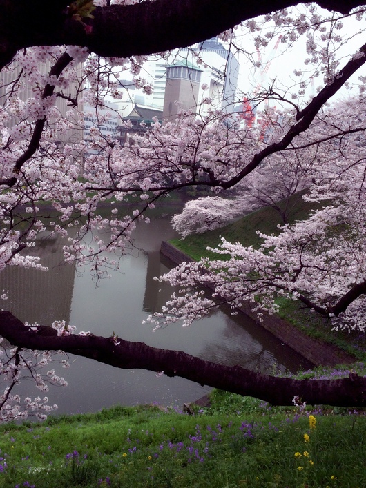 f0193680_11201442.jpg