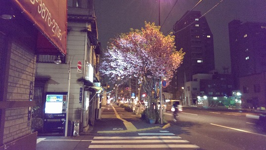e0020682_2012256.jpg