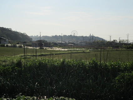 f0053885_19545484.jpg