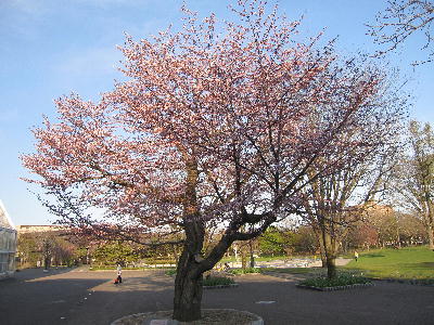 c0171889_1345293.jpg