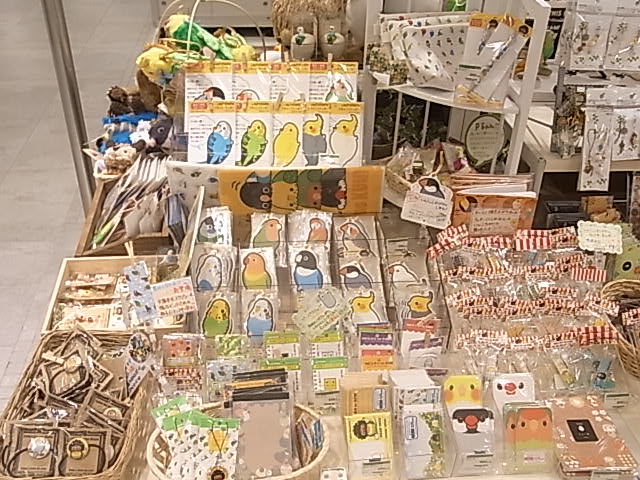 東急ハンズ梅田店「インコと鳥の雑貨展」ディスプレイ変更、新作到着_d0322493_1385527.jpg