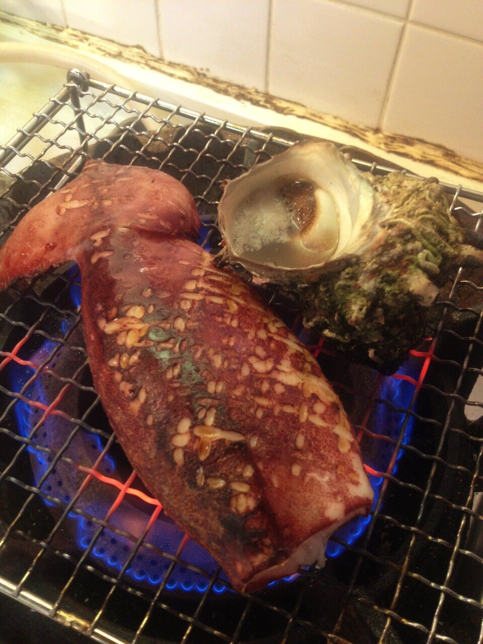 海のいえ??_a0115906_15572471.jpg
