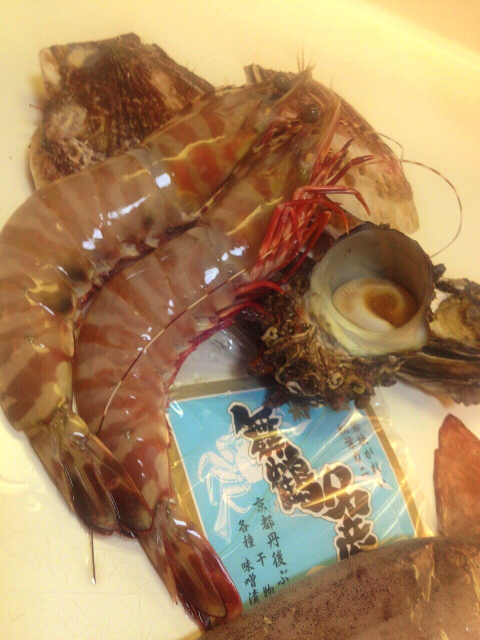 海のいえ??_a0115906_1602013.jpg