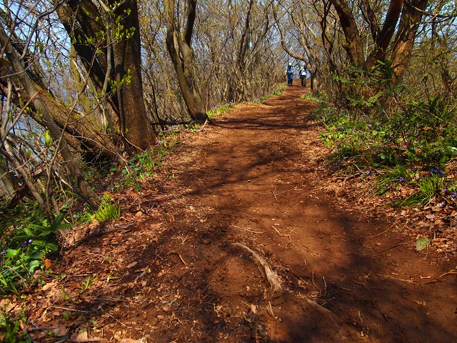 角田山　～２日目☆角田山お山歩編～_b0213806_21464679.jpg