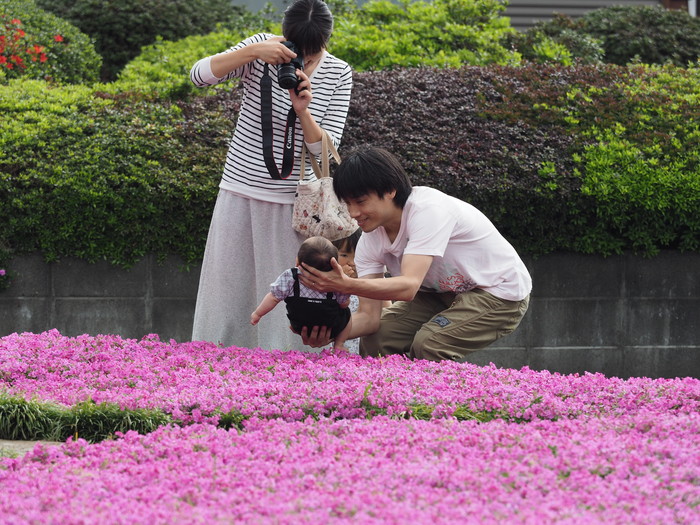 芝桜咲く庭_c0235114_813625.jpg