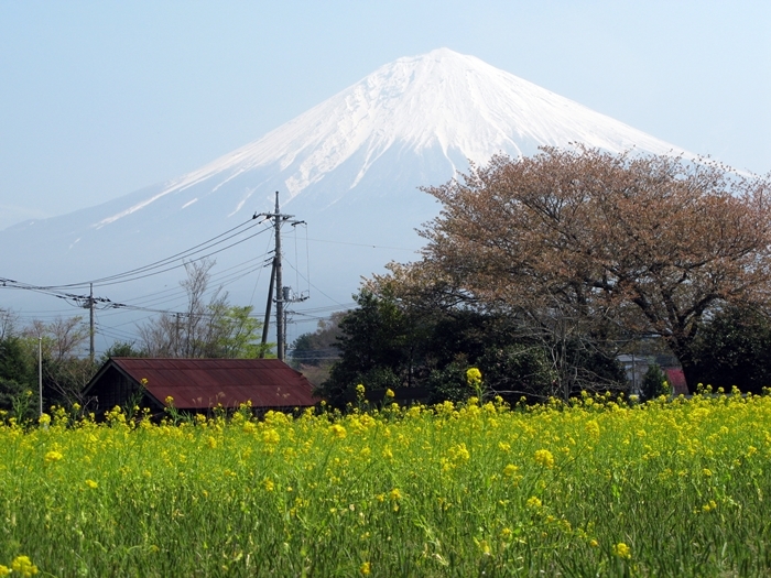 アラ還旅行 富士山編_f0129726_23011732.jpg