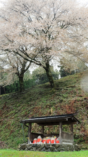 e0311229_1372591.jpg