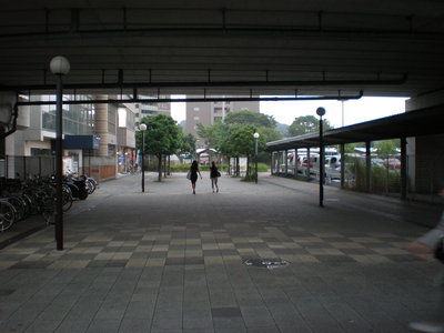 b0042238_23253267.jpg