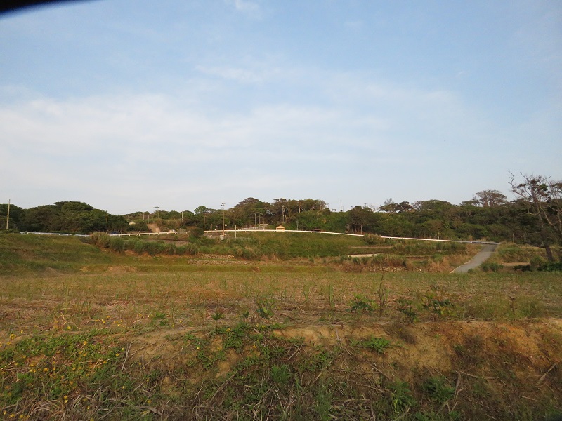 b0288942_11252741.jpg
