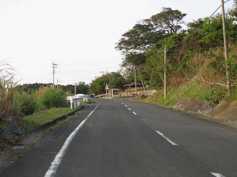 b0288942_112633.jpg