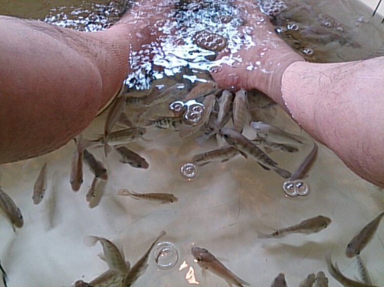 c0306845_1184650.jpg