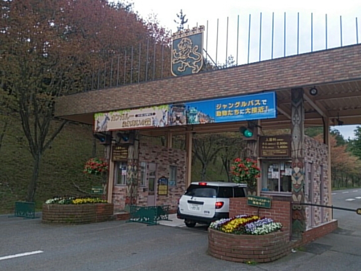 c0306845_136513.jpg