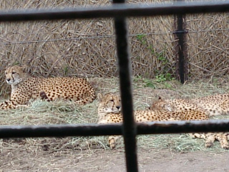 c0306845_14114145.jpg
