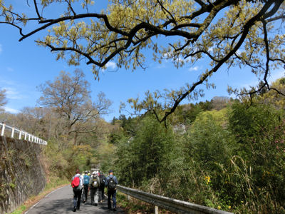 お茶壷道中（甲州街道）　上野原から相模湖へ_f0019247_1915229.jpg