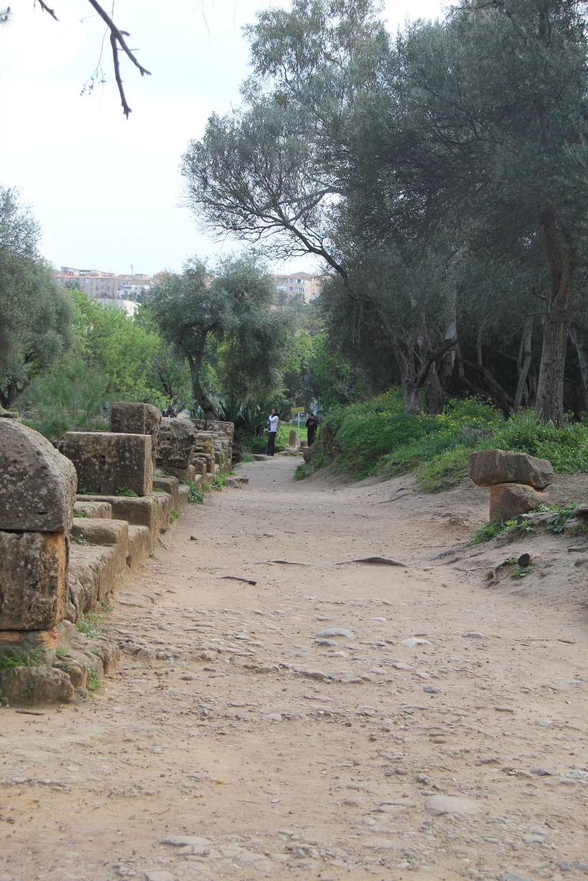 アルジェリアの旅（15）　世界遺産ティパサ遺跡を歩く・・・_c0011649_4234236.jpg