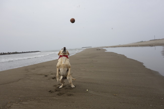 11才、砂まみれ　On The Beach !_d0238057_21105229.jpg