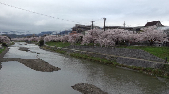 雨の京都　第15回森の手作り市_a0306166_13112592.jpg