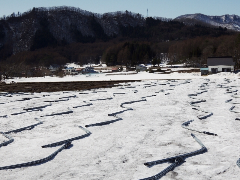 雪どけの風景。_c0198267_07570440.jpg