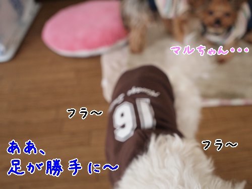 e0248268_23535117.jpg