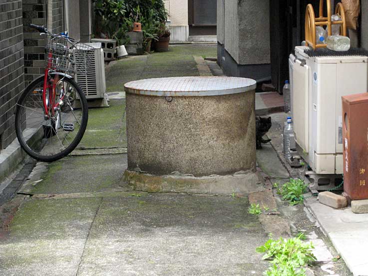 b0057679_9512291.jpg