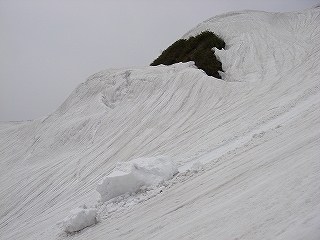 石徹白、杉山から小白山周辺滑りまくり_e0064783_23432319.jpg