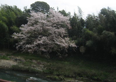 f0215785_19383568.jpg