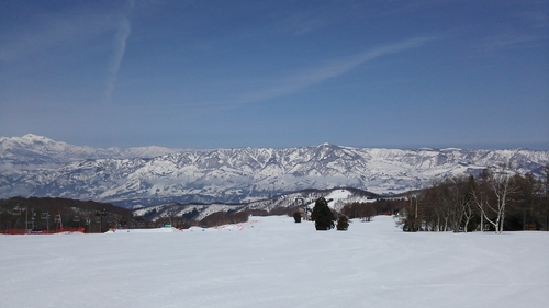 e0015490_2084015.jpg