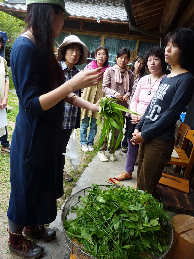 春の野草酵素ジュース作り_e0263590_1135090.jpg