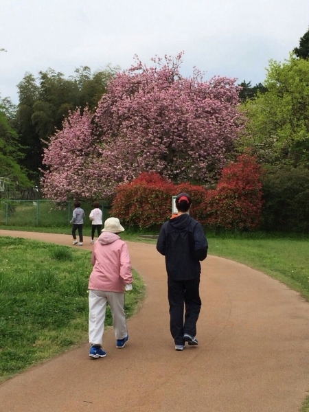 八重桜満開～ 院長と歩こうin西の堤池公園_c0102793_09180056.jpg