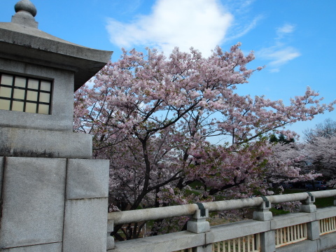 今年１番最初の庭のお客様を迎えた日に･･･････_b0331802_20214739.jpg