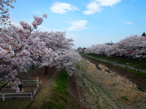 今年１番最初の庭のお客様を迎えた日に･･･････_b0331802_20230059.jpg