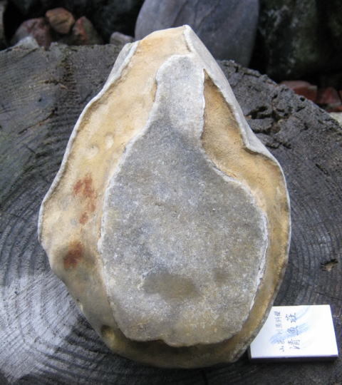 能登亀甲石 : ノジュール博物館