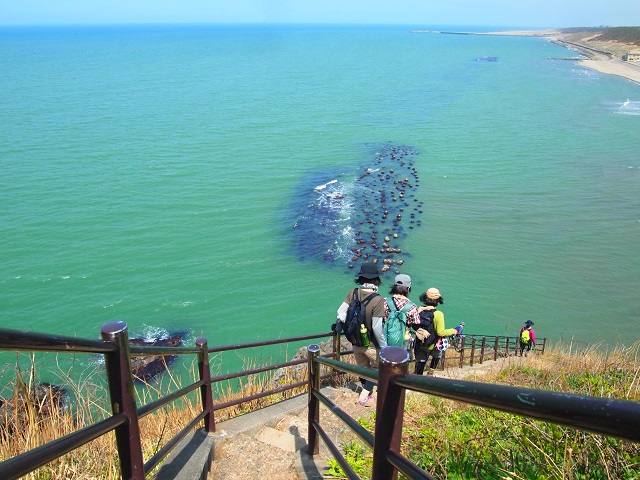 角田山　～２日目☆角田山お山歩編～_b0213806_20491588.jpg