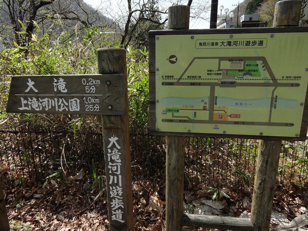 雨の鬼怒川で花見と猿！伊東園鬼怒川グリーンパレス 【2015/4/15_16】_a0337409_162927100.jpg