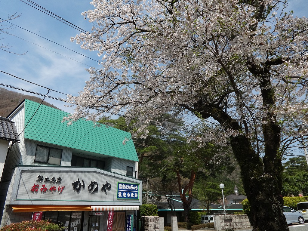 雨の鬼怒川で花見と猿！伊東園鬼怒川グリーンパレス 【2015/4/15_16】_a0337409_16392686.jpg