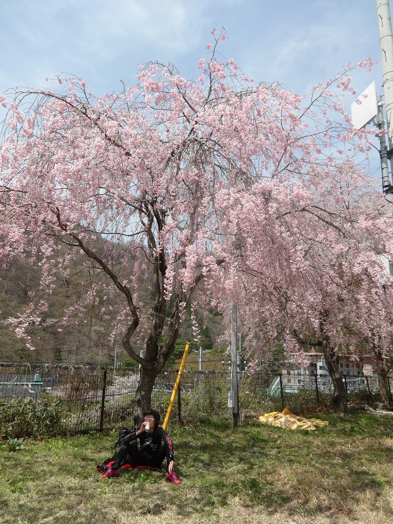 雨の鬼怒川で花見と猿！伊東園鬼怒川グリーンパレス 【2015/4/15_16】_a0337409_1645251.jpg