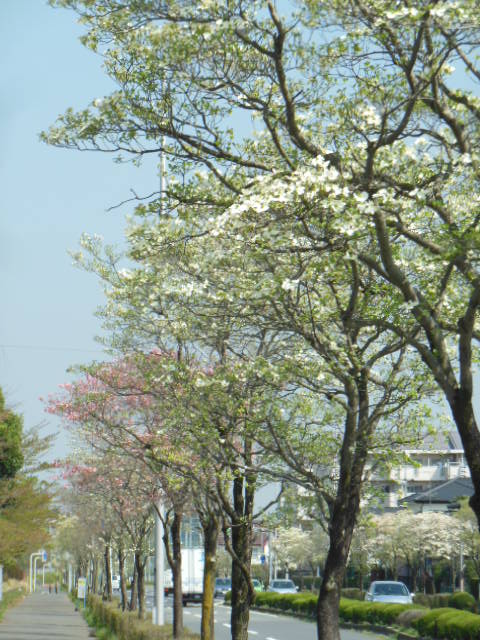 f0208812_10135413.jpg