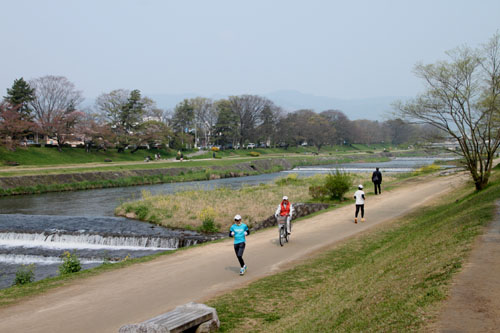 鴨川 主役交代_e0048413_20191348.jpg