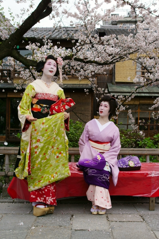 祇園東芸妓つね桃と舞妓駒子　祇園白川にて_e0177413_19104068.jpg