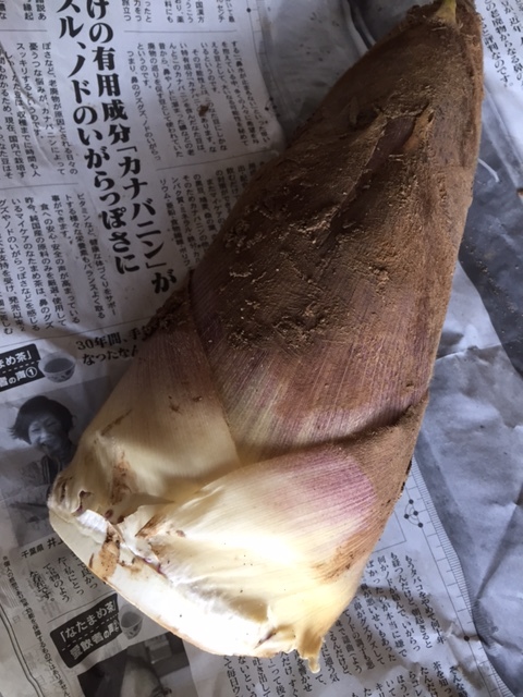 e0276823_20011497.jpeg