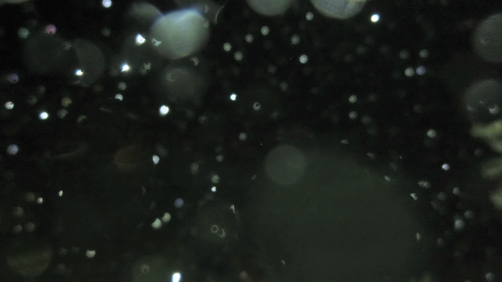 c0331825_15391536.jpg