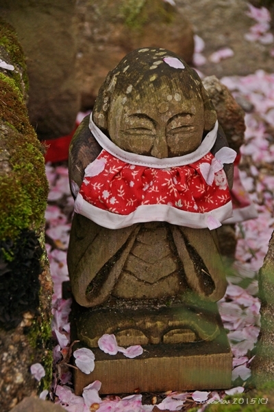 二月堂裏参道の桜 二月堂 桜